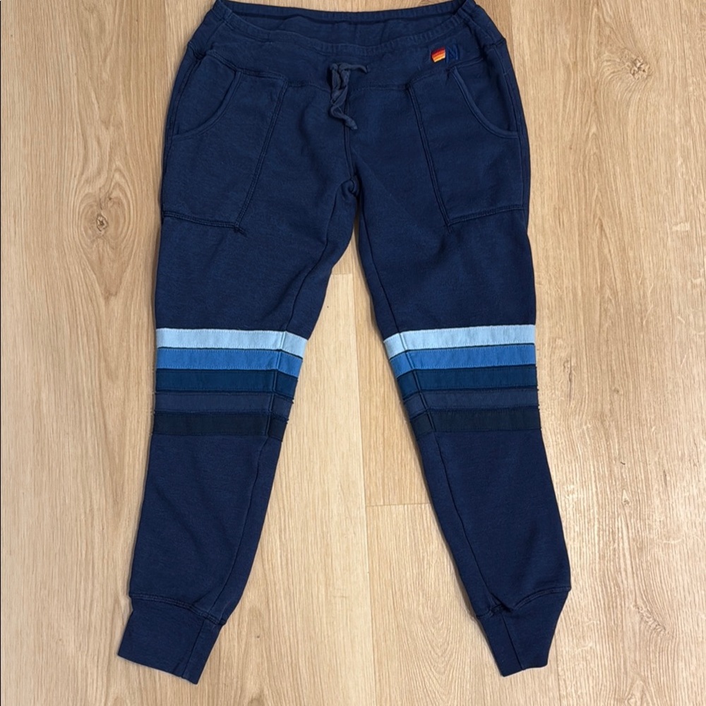 Aviator Nation Navy Joggers with Striped Detail-unisex